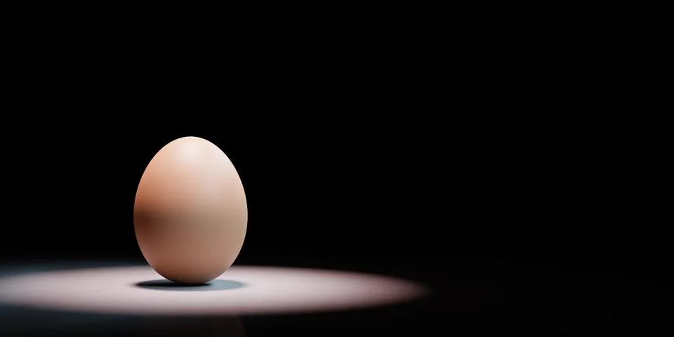 One Single Hen's Egg Spotlighted on Black Background with Copy Space 3D Illus Stock Illustration