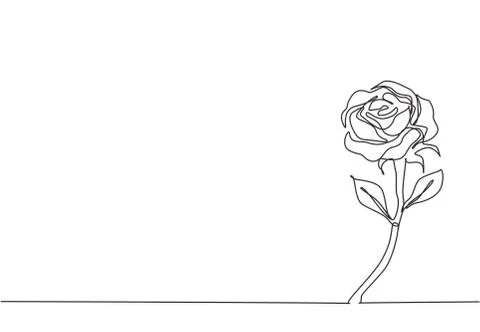 One single line drawing of fresh beautiful romantic rose flower Stock Illustration