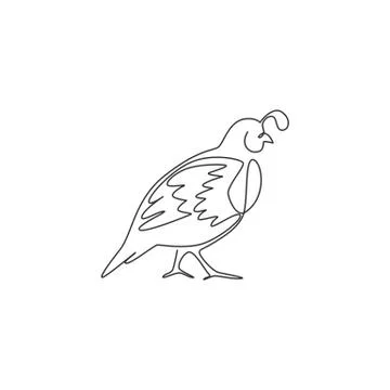 One single line drawing of funny valley quail for logo identity Illustrazione stock