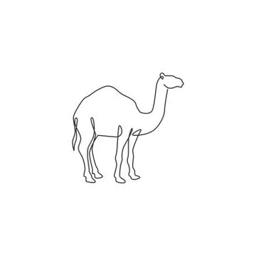 One single line drawing of strong desert Arab camel for logo identity Stock Illustration