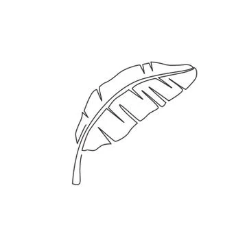 One single line drawing of tropical banana leaf plant. Printable poster decor Illustrazione stock