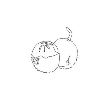 One single line drawing of whole healthy organic lychee for orchard logo Stock Illustration