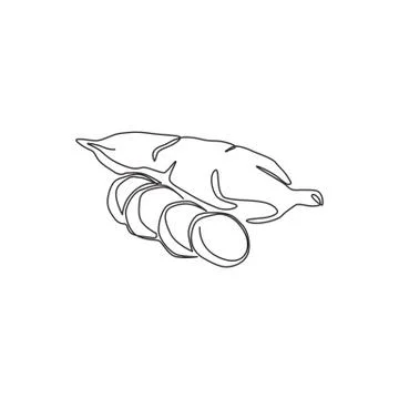 One single line drawing whole healthy organic yuca cassava for plantation Stock Illustration