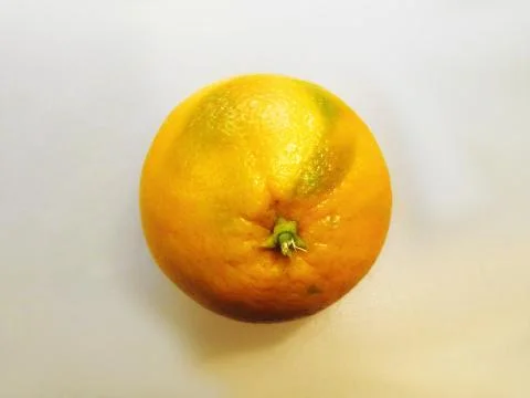 One single Orange Stock Photos