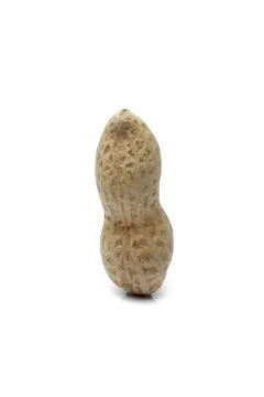 One single peanut isolated over white background Foto stock