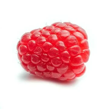 One single Raspberry against a white background - square Stock Photos