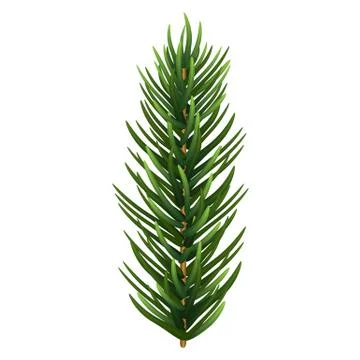 One single realistic spruce or pine branch leaf. Vector illustration. Stock Illustration