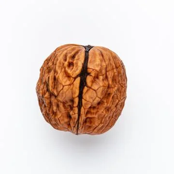 One single Walnut on white background. Stock Photos