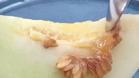 One slice of honeydew melon with seeds on top of spinning turntable. Video stock 159830506