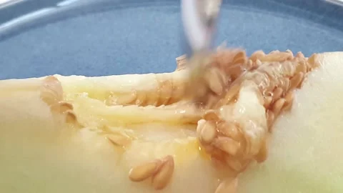 One slice of honeydew melon with seeds on top of spinning turntable. Stock Footage 159830548