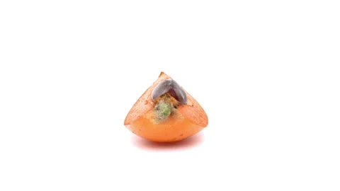 One slice of loquat fruit isolated on white background. Stock-Footage 158583361