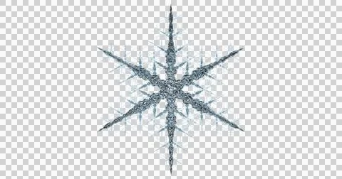 One snowflake on a transparent isolated background. Illustrazione stock