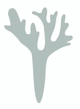 One sprig of Moss, lichen or reindeer moss Iceland moss logo, or icon on whit Stock Illustration