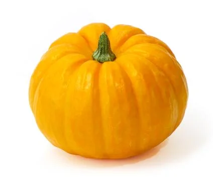 One squash Stock Photos