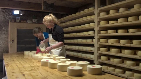 One of the stages of processing the famous Swiss cheese. Stock Footage 112631011