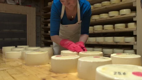 One of the stages of processing the famous Swiss cheese. Close-up shooting. Stock Footage 112631170