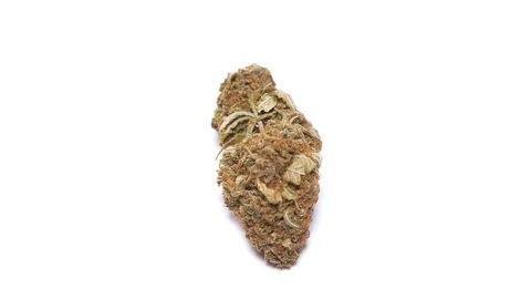 One stativa cannabis bud rotating against a solid white background Stock Footage 116344871