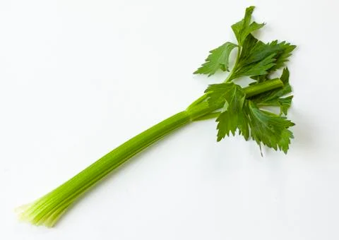 One stem of green celery on white background Stock Photos