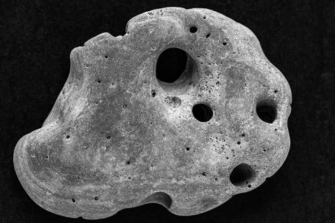 One stone of an abstract form Stock Photos