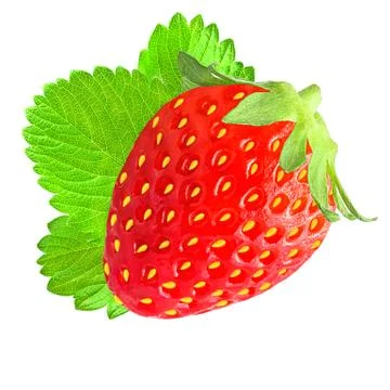 One strawberry with leaf isolated Stock Photos