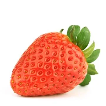 One strawberry Stock Photos