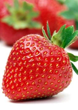One strawberry Stock Photos