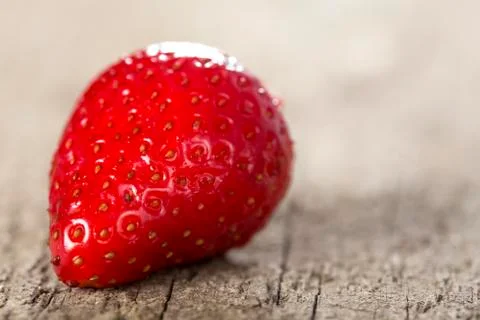 One strawberry Stock Photos