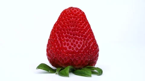 One strawberry turns. Stock Footage 289426387