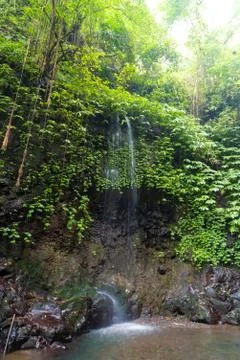 One stream of Gitgit Waterfall in Bali, Indonesia Stock Photos