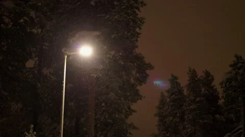 One Streetlight In The Dark At Wintertime Stockbeeldmateriaal 169790972