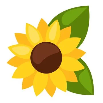 One sunflower, isolated vector flower. Sunflower closeup Stock Illustration