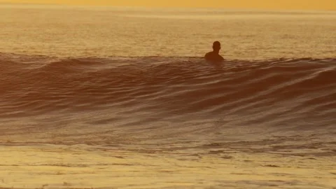 One surfer paddling in the sea at golden hour time Stock Footage 317344053