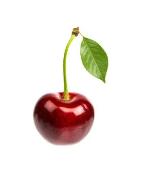One sweet cherry with the leaf isolated on a white background Stock Photos