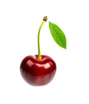 One sweet cherry with the leaf isolated on a white background Stock Photos