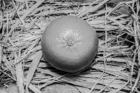 One tangerine Stock Photos