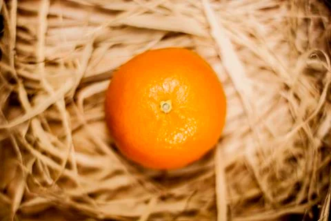 One tangerine Foto stock