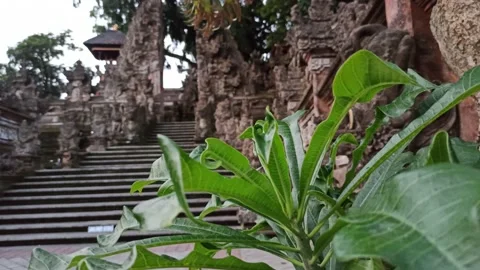 One of the Temples in Ubud - Bali Stock Footage 154546857