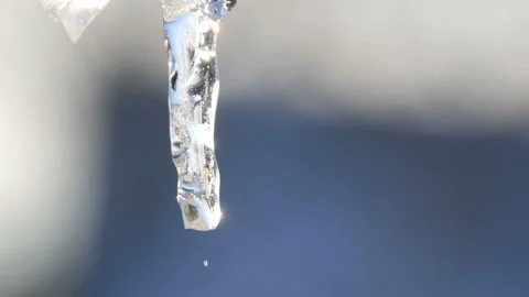One thin melting icicle sparkles in the sun against the blue sky. Drops of water Stock Footage 99015276