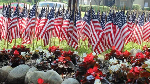 One Thousand Flags 3 Video stock 23608798