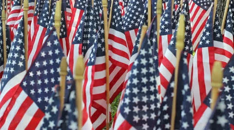 One Thousand Flags 4 Video stock 23608528