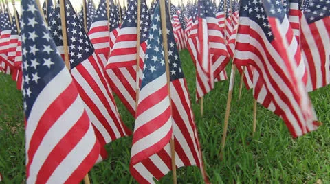 One thousand flags nine Stock Footage 24540384