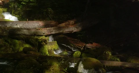 One of thousands of streams tumbling down the Cascade Mountains Stock Footage 124672572