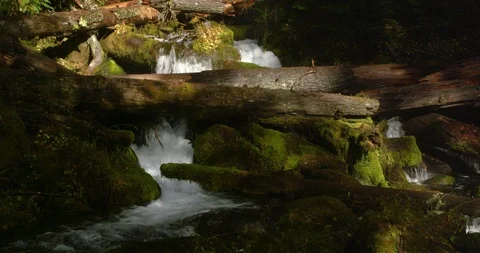 One of thousands of streams tumbling down the Cascade Mountains Stock Footage 124679344