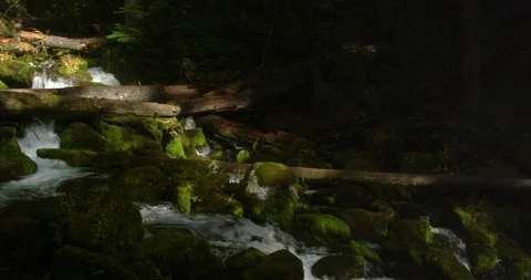 One of thousands of streams tumbling down the Cascade Mountains Stock Footage 124685832