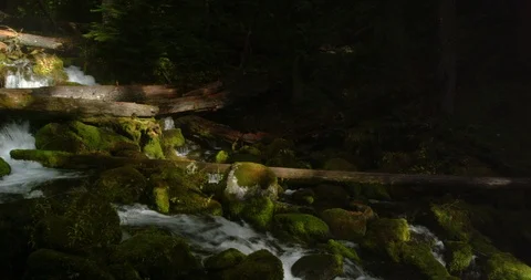 One of thousands of streams tumbling down the Cascade Mountains Stock Footage 124704650