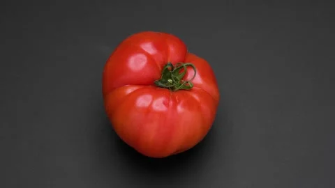 One tomato Stock Footage 307591364