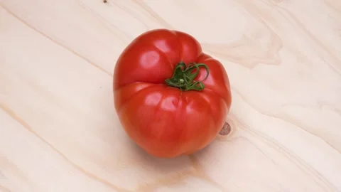 One tomato Stock Footage 307591365
