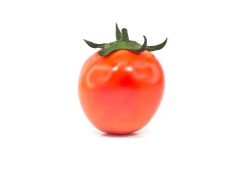 One tomato Фото