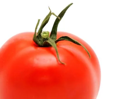 One tomato 库存照片