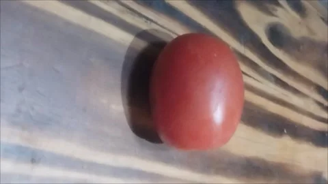 One tomato is on the table Stock Footage 291763102